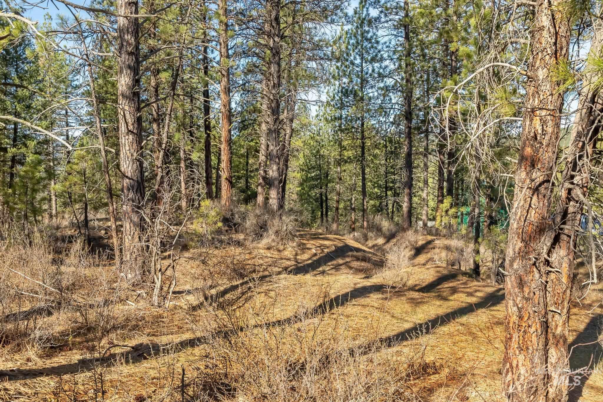 TBD ID City, Idaho City, Idaho 83631, Land For Sale, Price $210,000, 98979284