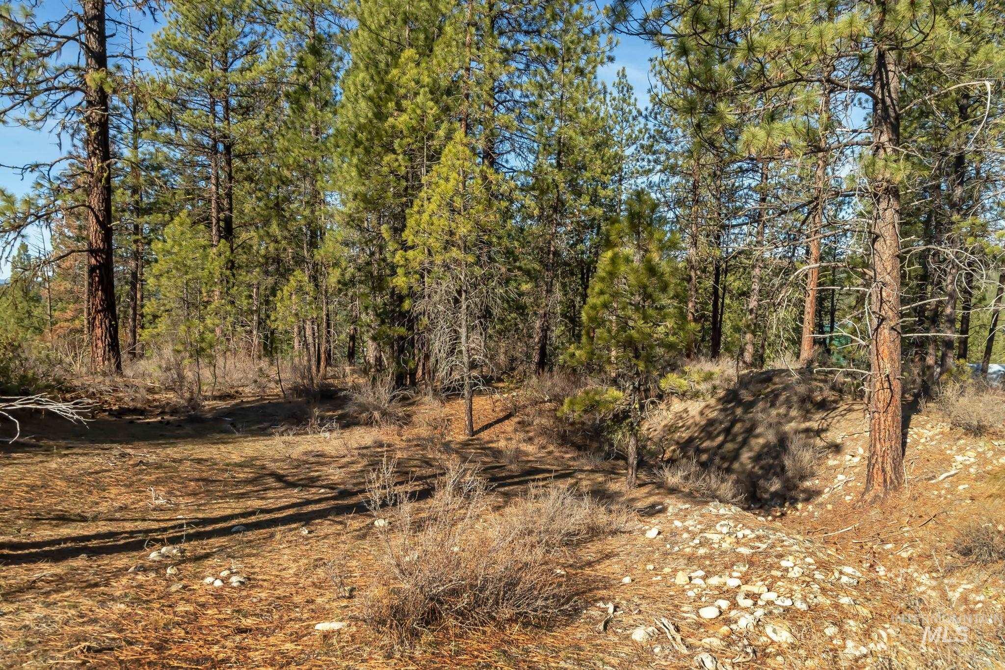 TBD ID City, Idaho City, Idaho 83631, Land For Sale, Price $210,000, 98979284