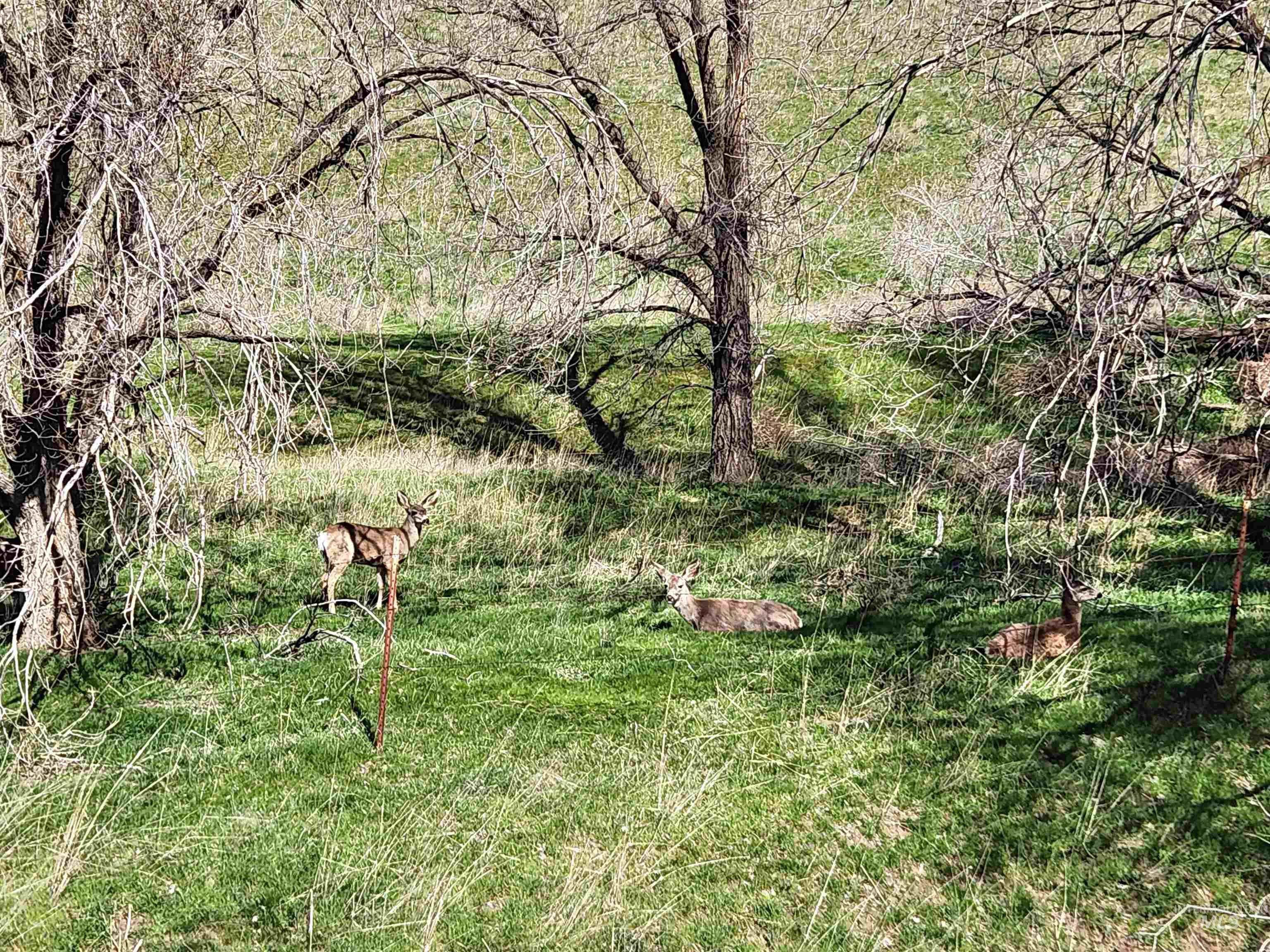 TBD Hwy 30, Tax Lot 100, Huntington, Oregon 97907, Land For Sale, Price $79,900, 98979289