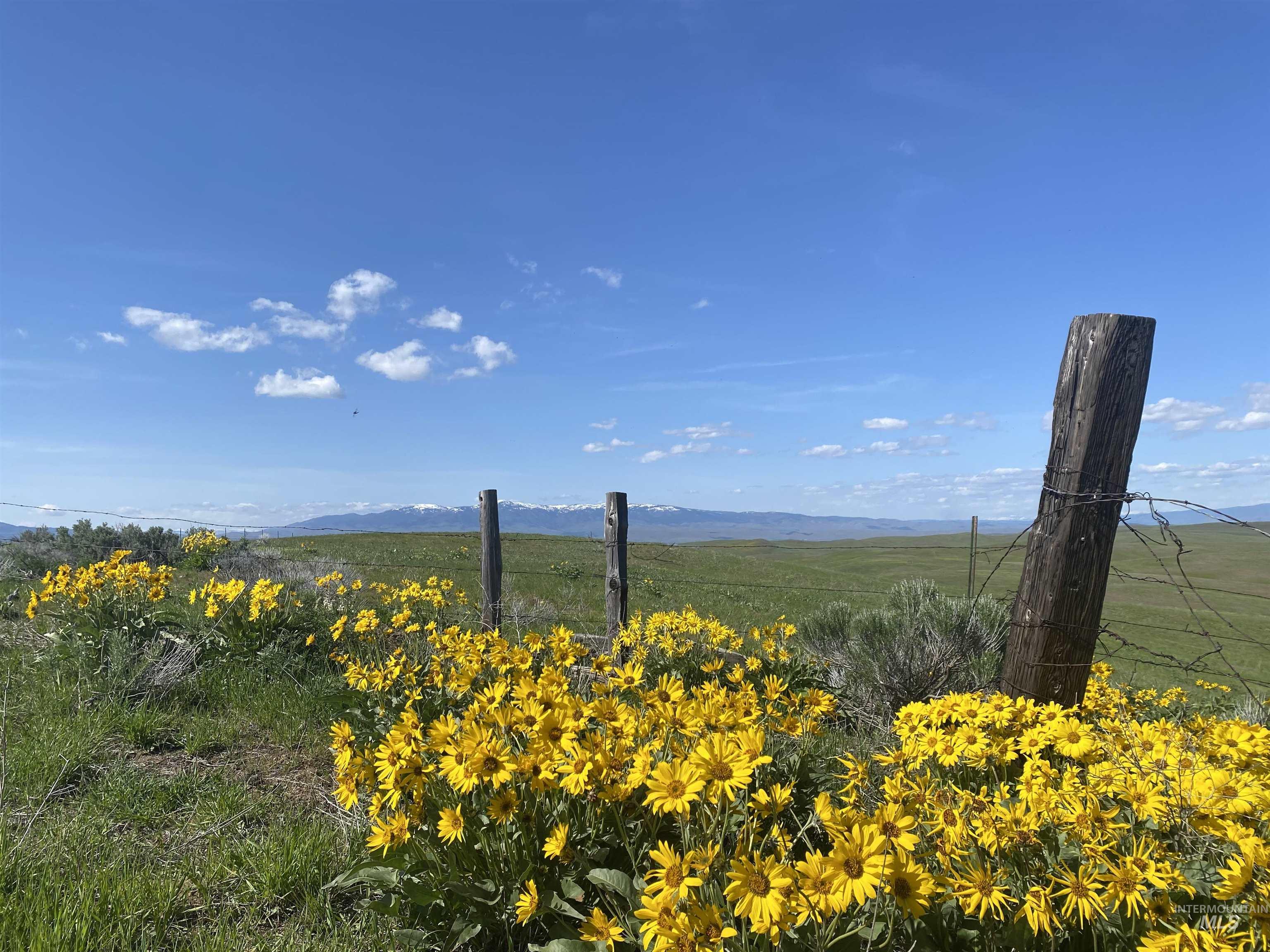 2856 Farm to Market Road, Midvale, Idaho 83645, 2 Bedrooms, 2 Bathrooms, Residential For Sale, Price $998,900,MLS 98979347