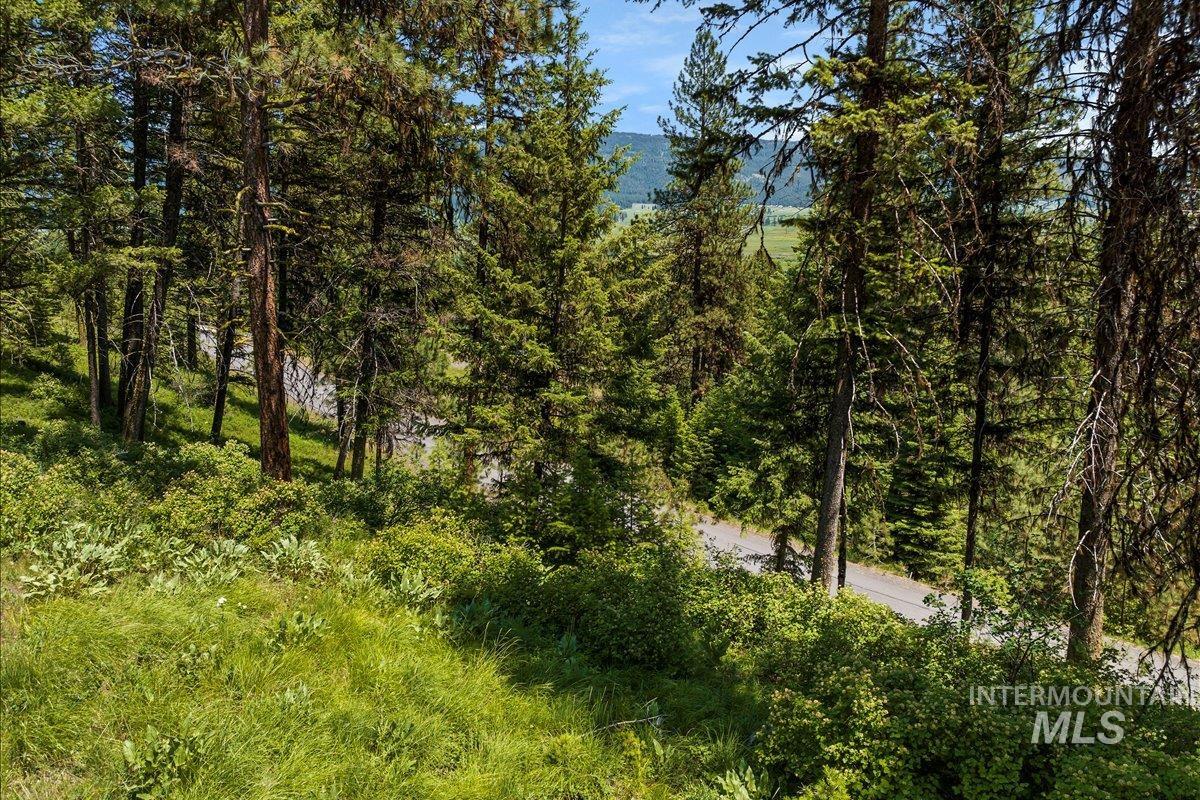 L5 B29 Sorrel Dr, New Meadows, Idaho 83654, Land For Sale, Price $105,000,MLS 98979371