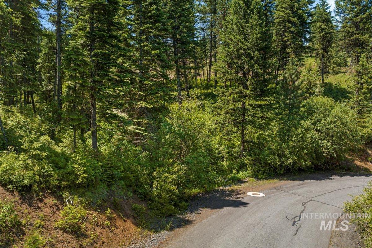 L5 B29 Sorrel Dr, New Meadows, Idaho 83654, Land For Sale, Price $105,000,MLS 98979371