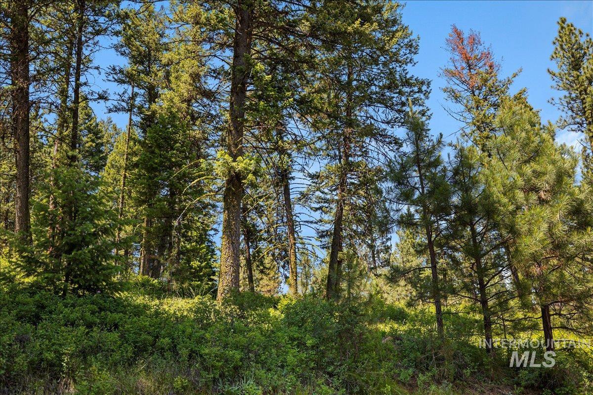 L5 B29 Sorrel Dr, New Meadows, Idaho 83654, Land For Sale, Price $105,000,MLS 98979371