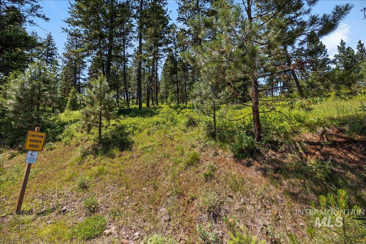 L5 B29 Sorrel Dr, New Meadows, Idaho 83654, Land For Sale, Price $105,000,MLS 98979371