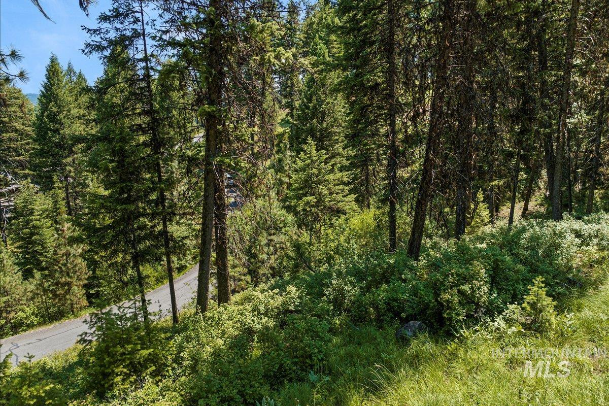 L5 B29 Sorrel Dr, New Meadows, Idaho 83654, Land For Sale, Price $105,000,MLS 98979371