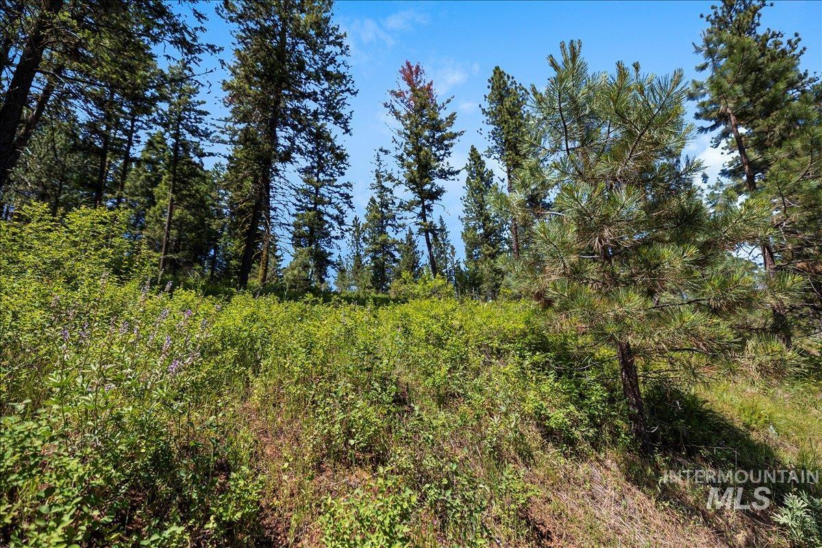 L5 B29 Sorrel Dr, New Meadows, Idaho 83654, Land For Sale, Price $105,000,MLS 98979371