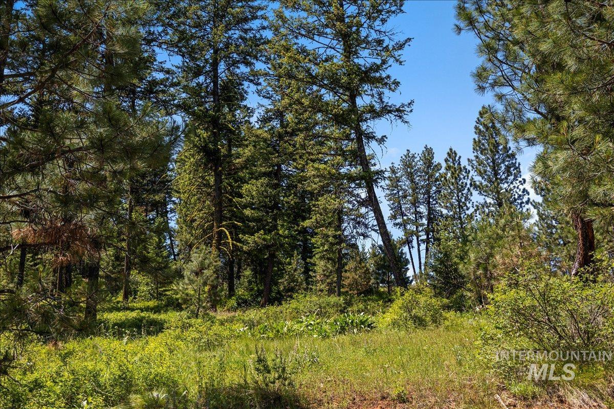 L5 B29 Sorrel Dr, New Meadows, Idaho 83654, Land For Sale, Price $105,000,MLS 98979371