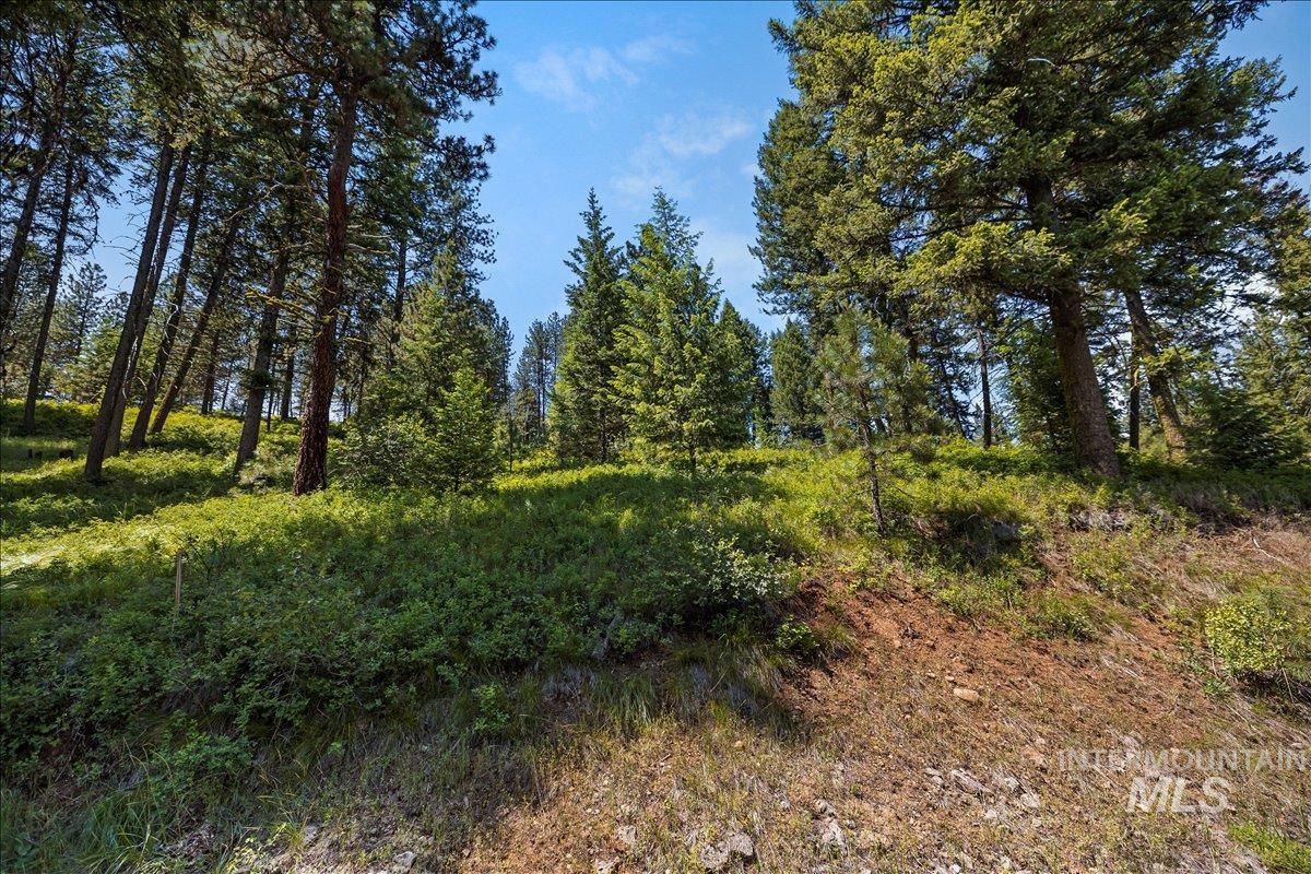 L5 B29 Sorrel Dr, New Meadows, Idaho 83654, Land For Sale, Price $105,000,MLS 98979371