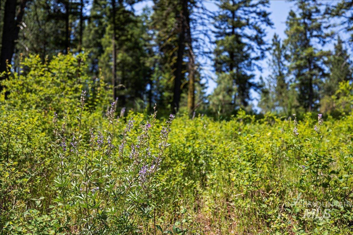 L5 B29 Sorrel Dr, New Meadows, Idaho 83654, Land For Sale, Price $105,000,MLS 98979371