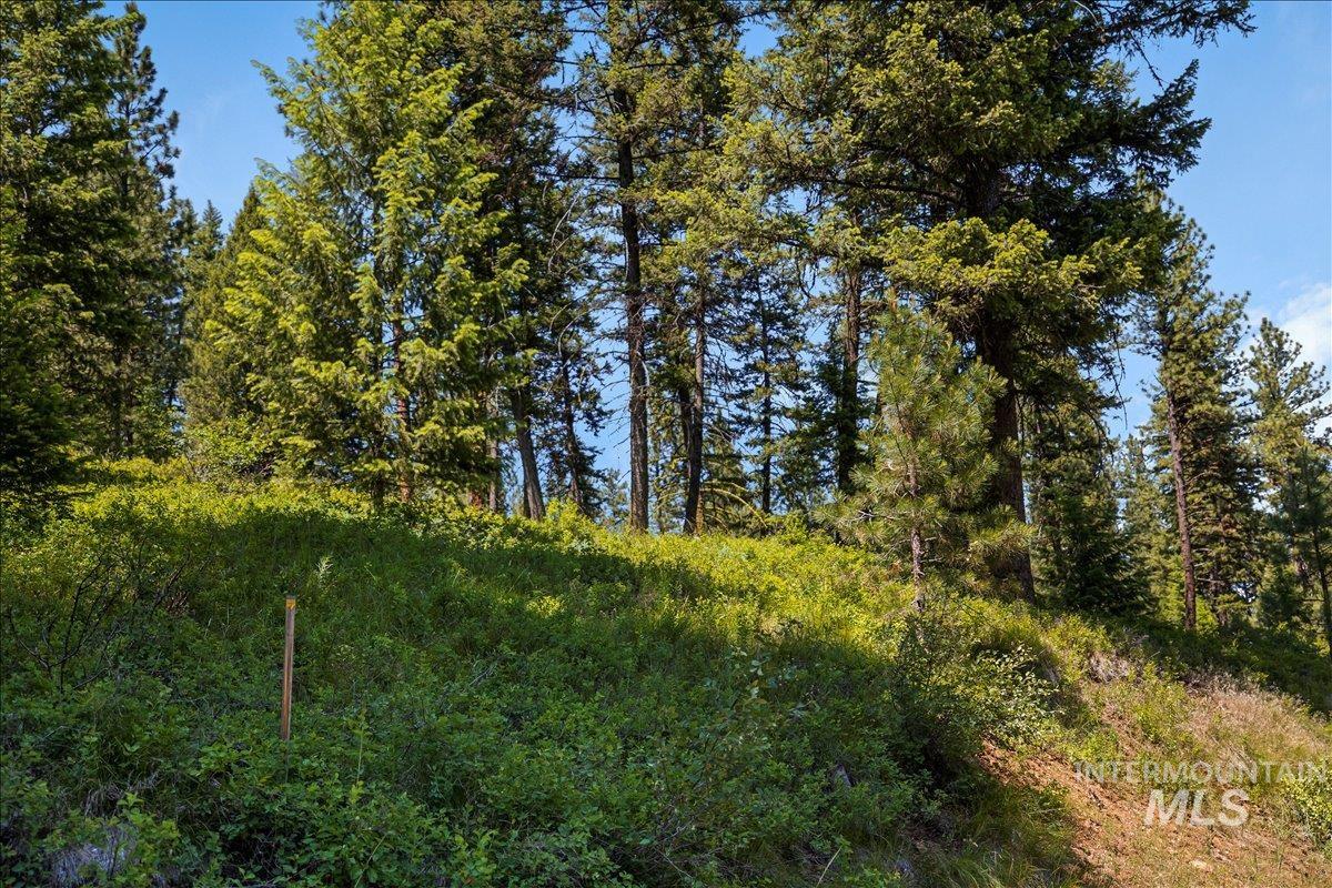 L5 B29 Sorrel Dr, New Meadows, Idaho 83654, Land For Sale, Price $105,000,MLS 98979371
