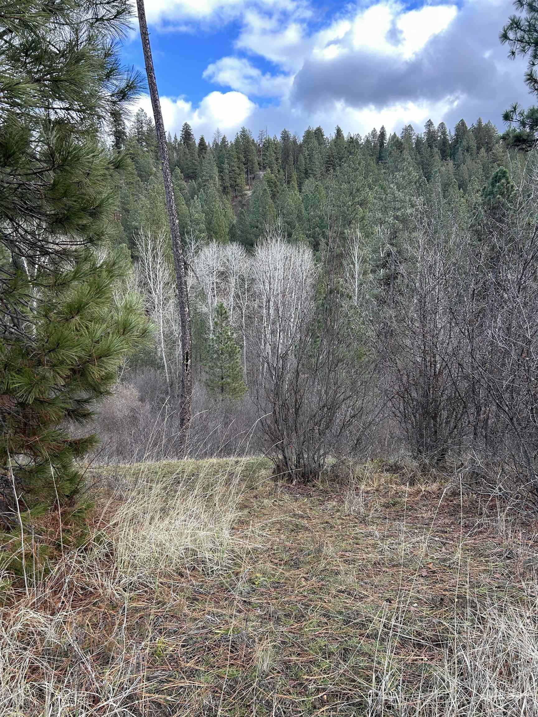 Lot 13 Blk 1 Creekside Ct, Garden Valley, Idaho 83622, Land For Sale, Price $199,900,MLS 98979382