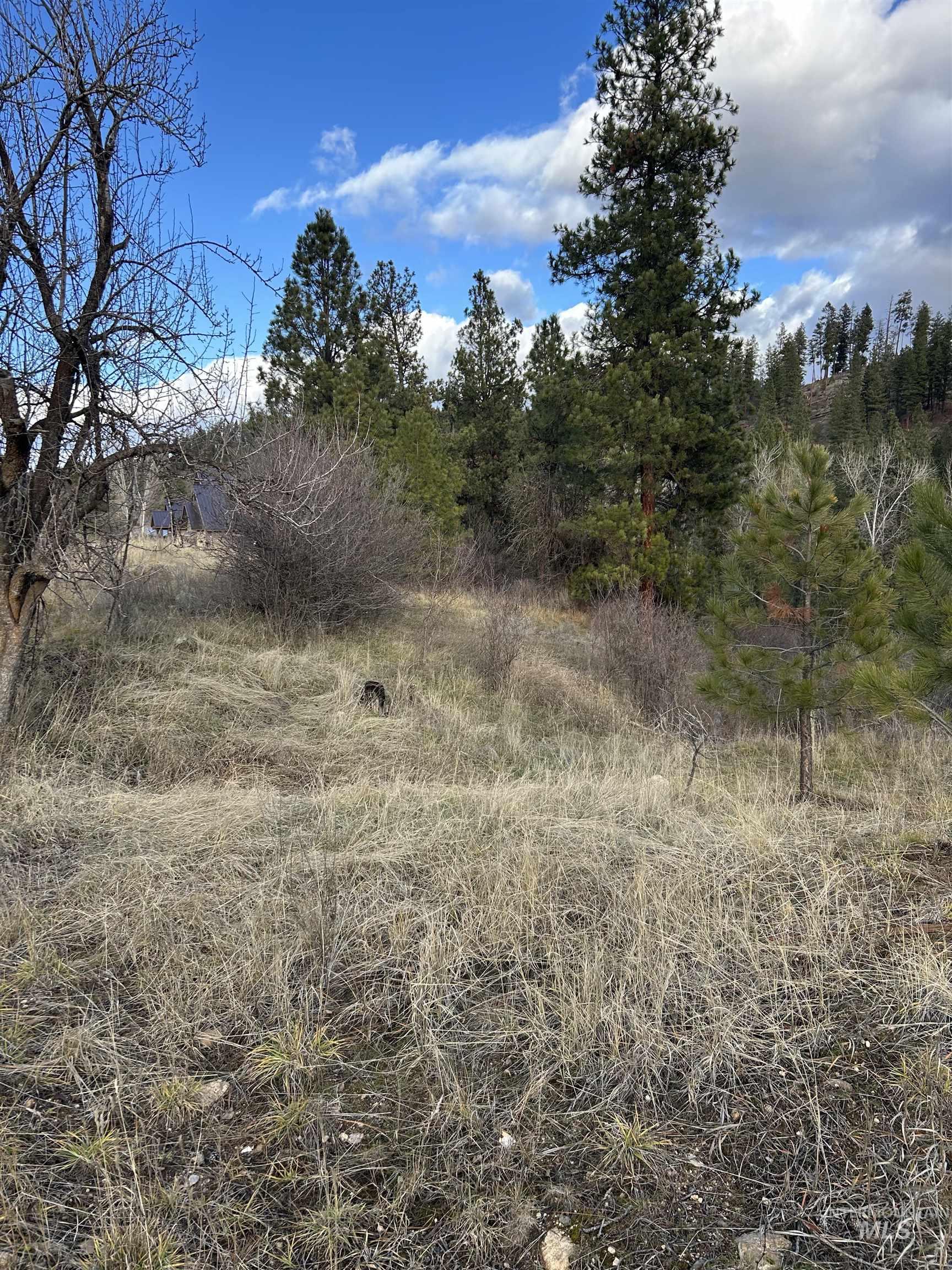 Lot 13 Blk 1 Creekside Ct, Garden Valley, Idaho 83622, Land For Sale, Price $199,900,MLS 98979382