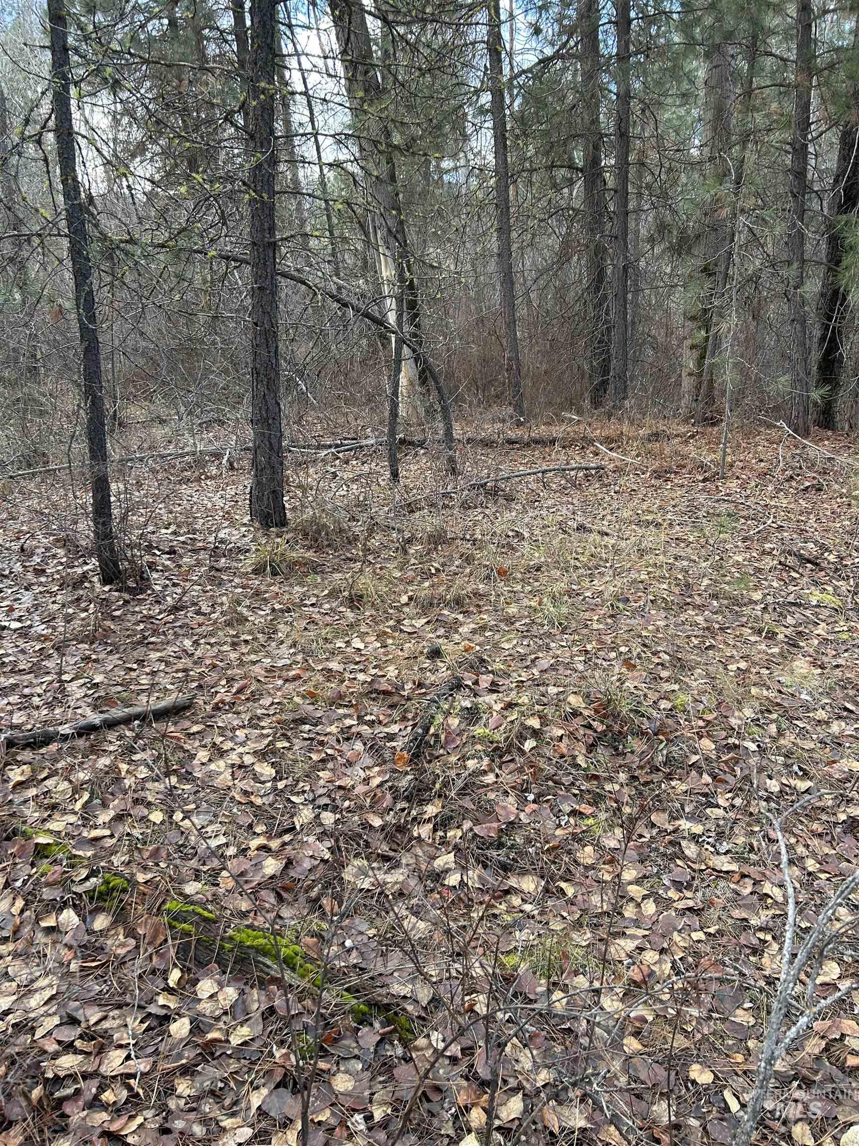 Lot 13 Blk 1 Creekside Ct, Garden Valley, Idaho 83622, Land For Sale, Price $199,900,MLS 98979382