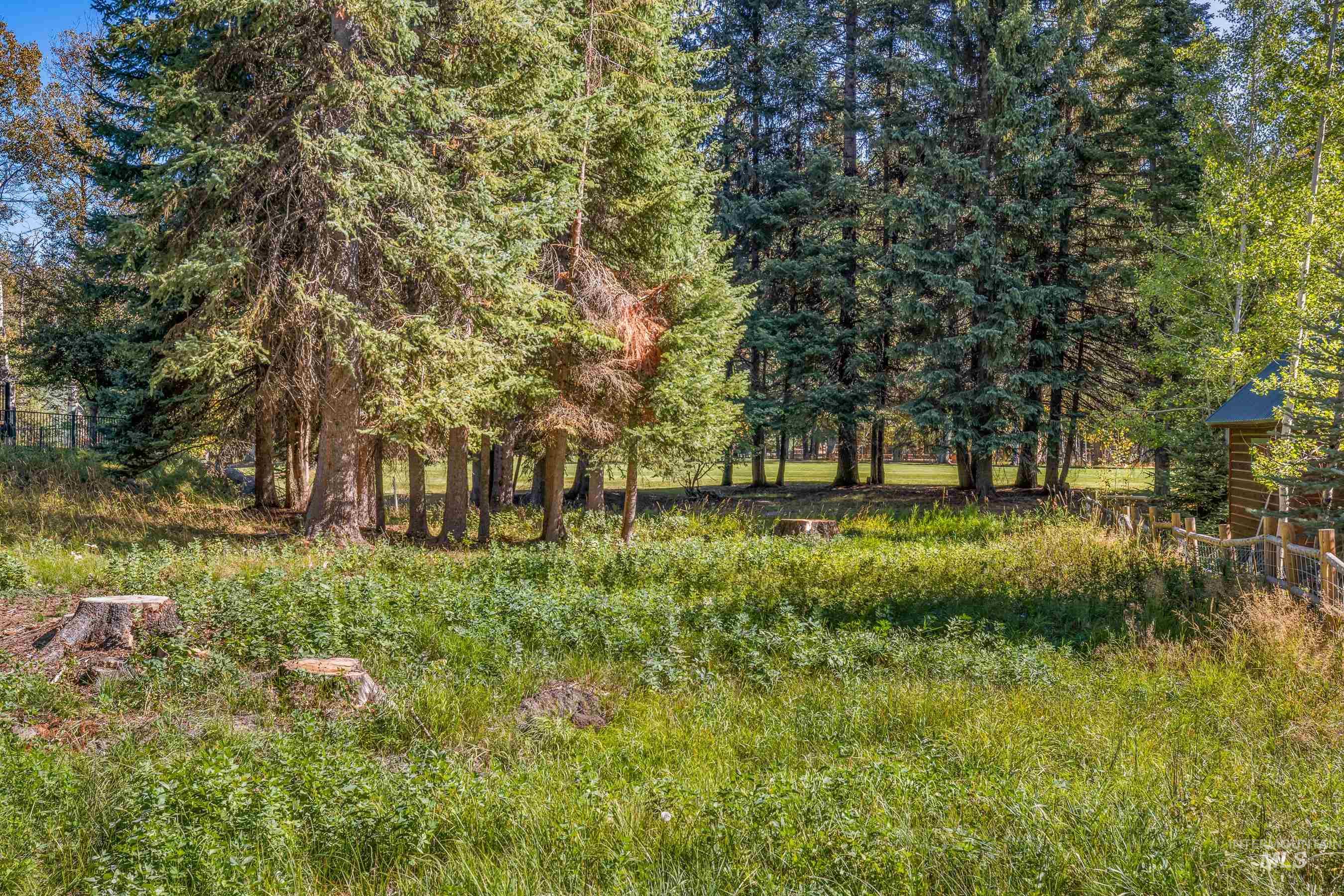 1365 Divot Lane, McCall, Idaho 83638, Land For Sale, Price $285,000, 98979390