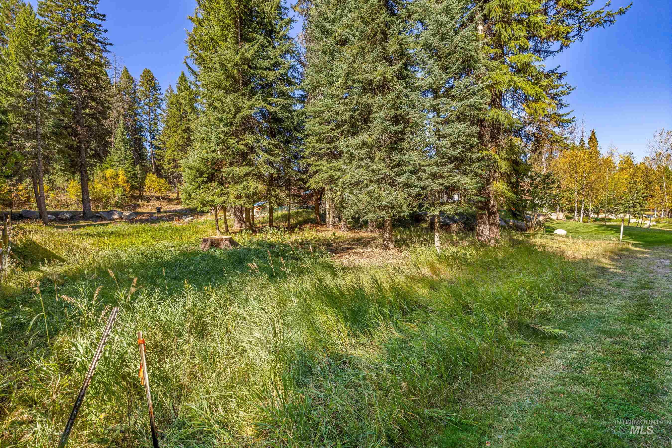 1365 Divot Lane, McCall, Idaho 83638, Land For Sale, Price $285,000, 98979390