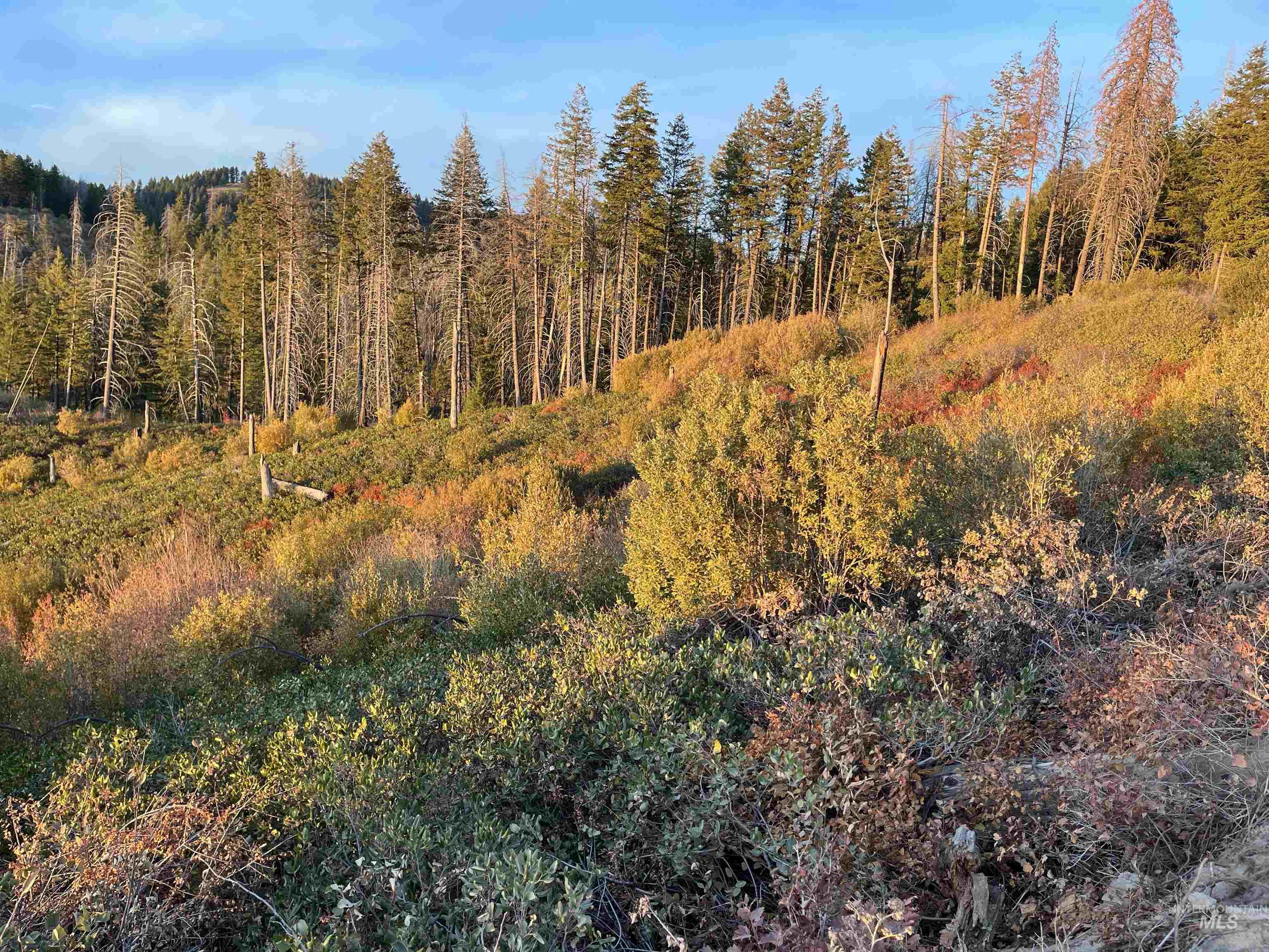 TBD Boise Ridge Road, Boise, Idaho 83716, Land For Sale, Price $49,900,MLS 98979393