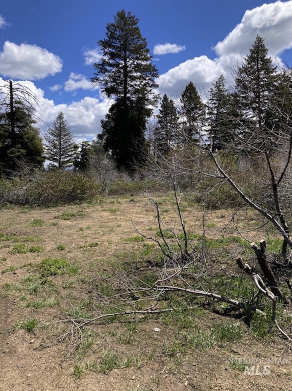 TBD Boise Ridge Road, Boise, Idaho 83716, Land For Sale, Price $49,900,MLS 98979393