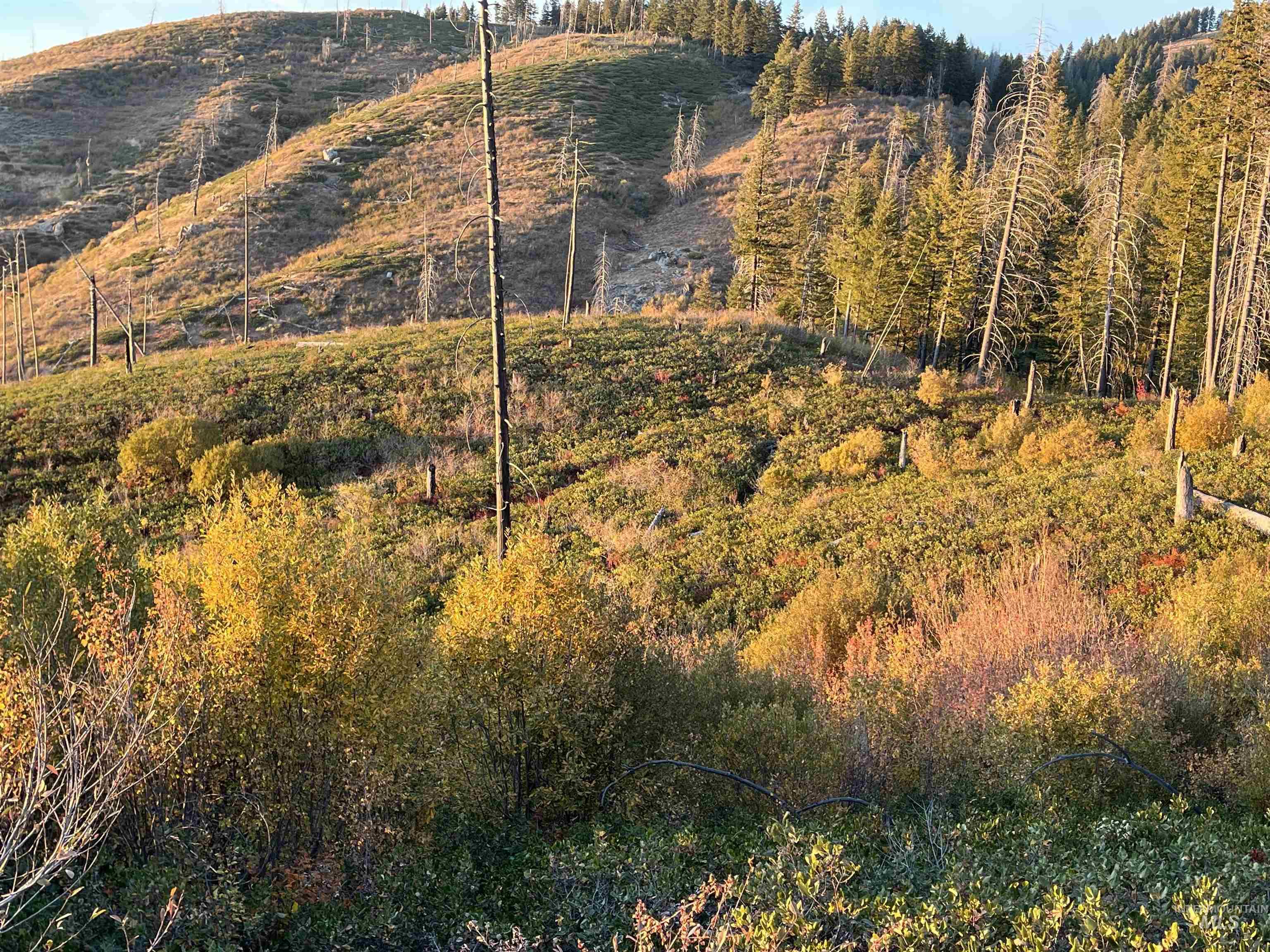 TBD Boise Ridge Road, Boise, Idaho 83716, Land For Sale, Price $49,900,MLS 98979393