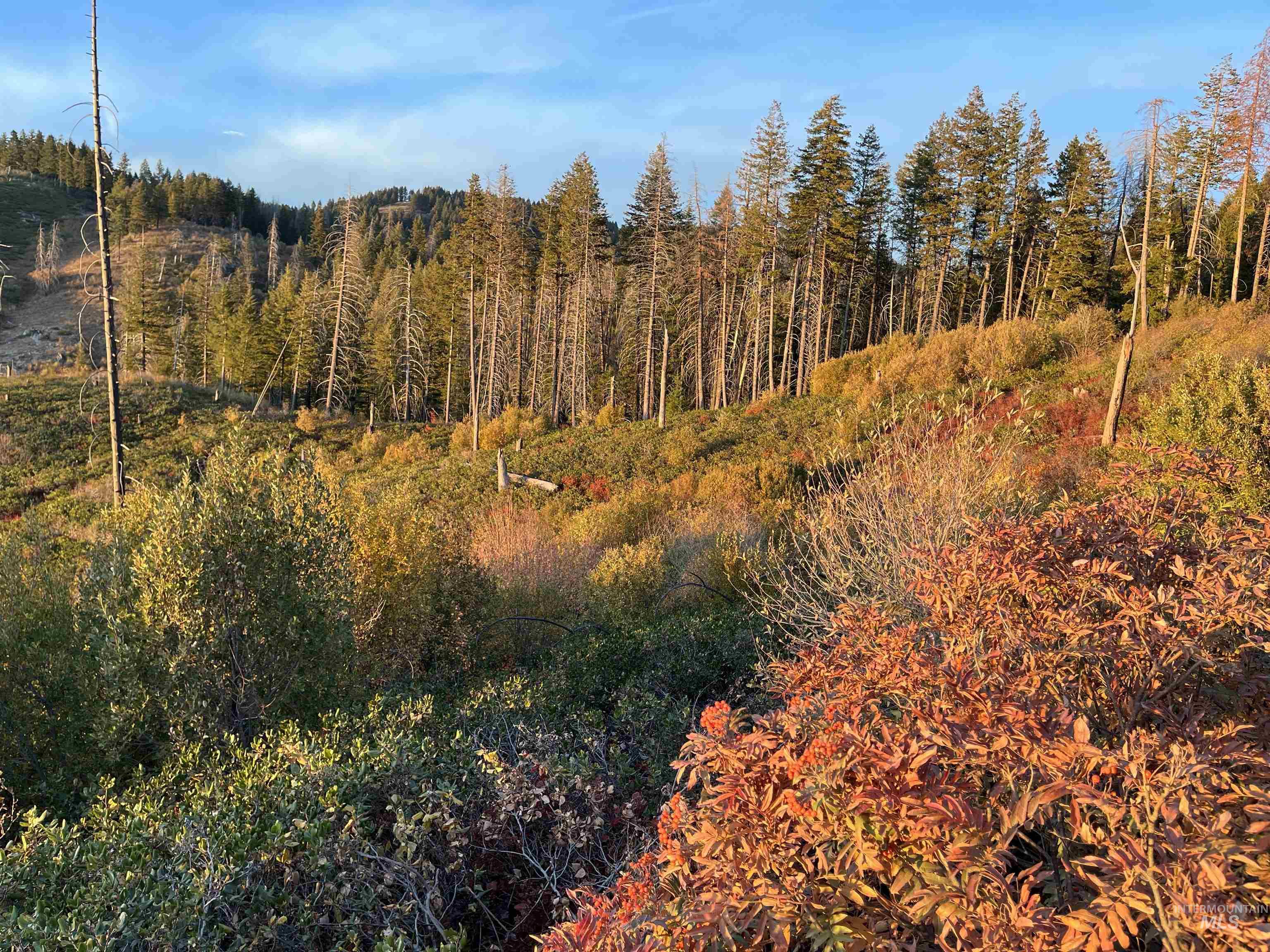 TBD Boise Ridge Road, Boise, Idaho 83716, Land For Sale, Price $49,900,MLS 98979393