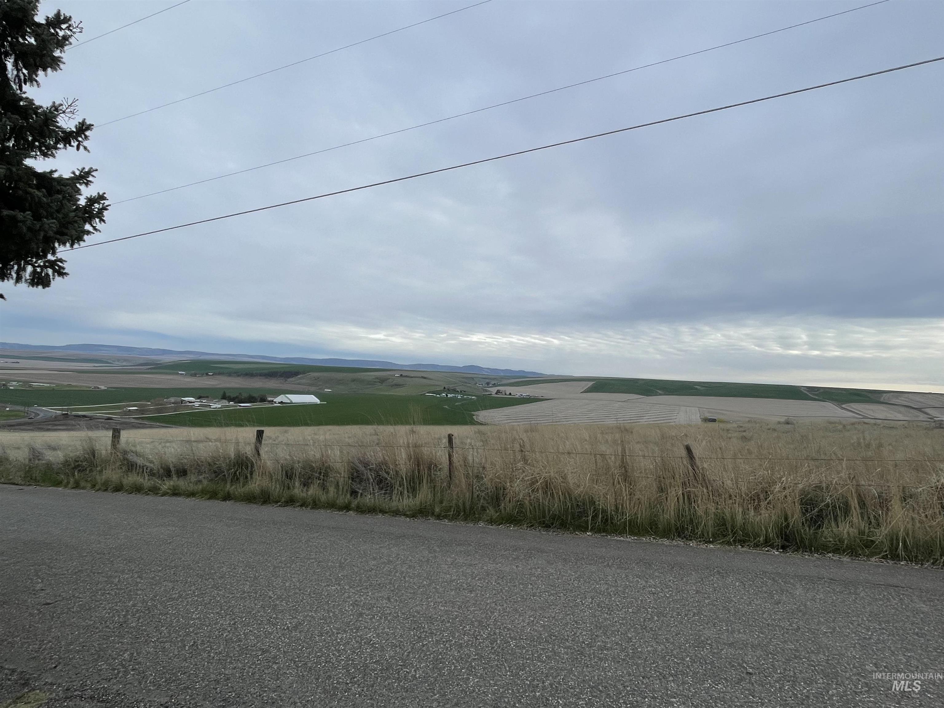 1701 Richardson Ave, Lewiston, Idaho 83501, 4 Bedrooms, 2 Bathrooms, Residential For Sale, Price $457,000,MLS 98979395