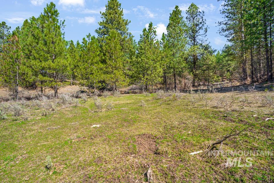 5 Sunset Tr, Banks, Idaho 83602, Land For Sale, Price $385,000,MLS 98979408