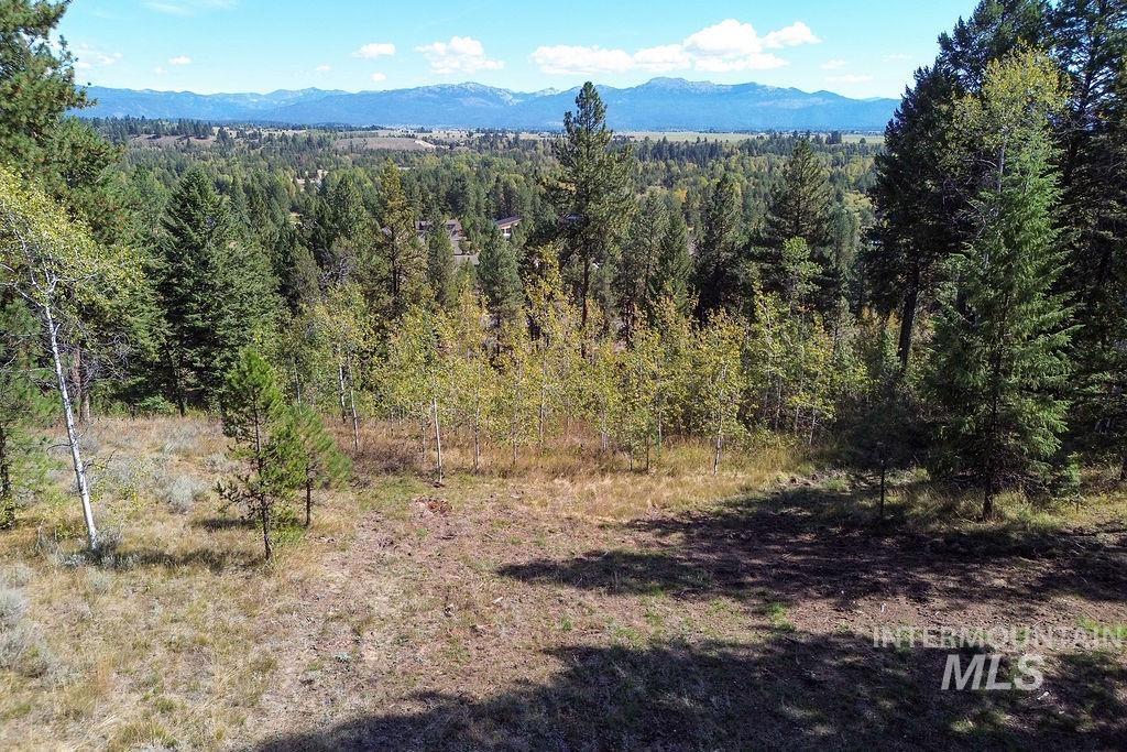 352 Blackhawk Lake Dr, McCall, Idaho 83638, Land For Sale, Price $450,000, 98979409