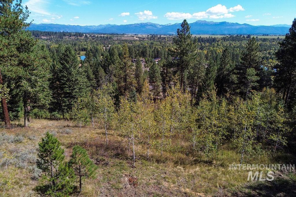 352 Blackhawk Lake Dr, McCall, Idaho 83638, Land For Sale, Price $450,000, 98979409