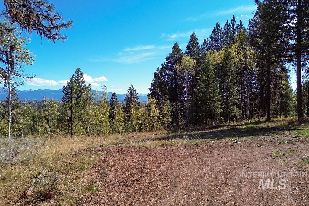 352 Blackhawk Lake Dr, McCall, Idaho 83638, Land For Sale, Price $450,000, 98979409