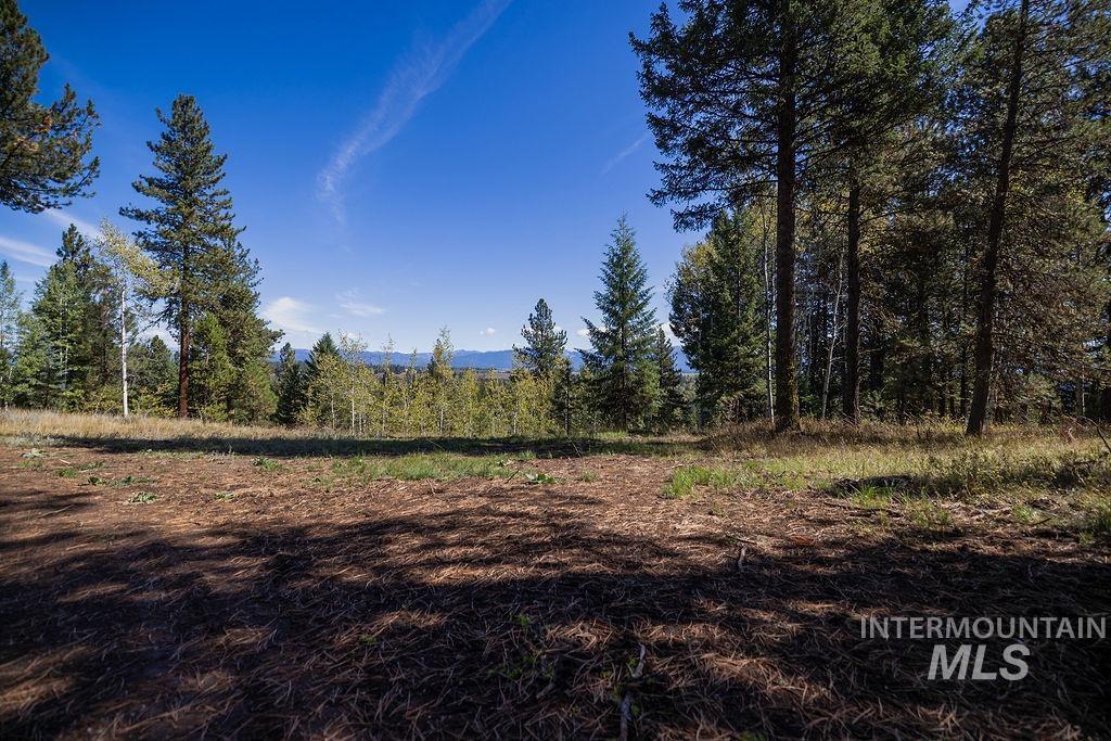 352 Blackhawk Lake Dr, McCall, Idaho 83638, Land For Sale, Price $450,000, 98979409