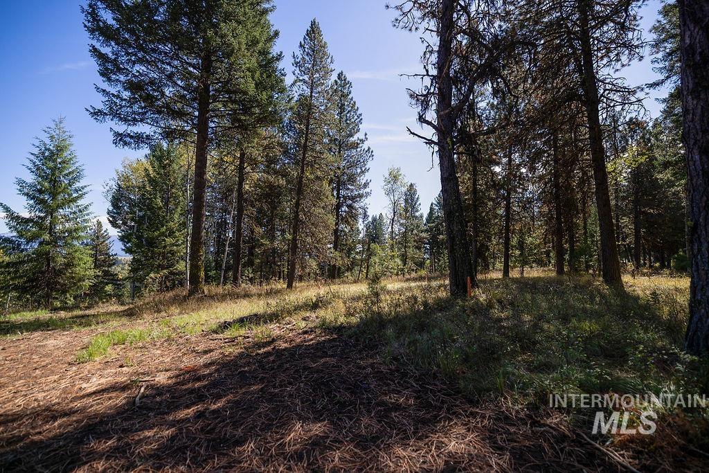 352 Blackhawk Lake Dr, McCall, Idaho 83638, Land For Sale, Price $450,000, 98979409