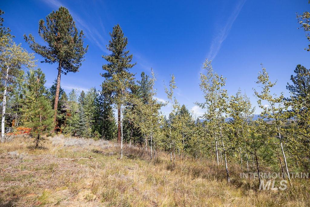 352 Blackhawk Lake Dr, McCall, Idaho 83638, Land For Sale, Price $450,000, 98979409