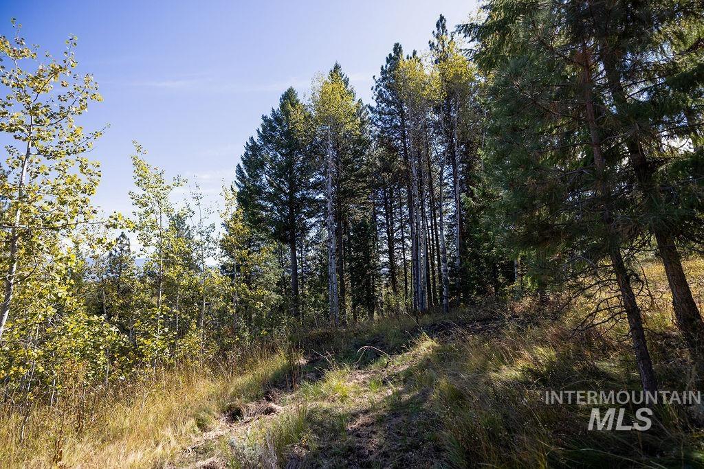 352 Blackhawk Lake Dr, McCall, Idaho 83638, Land For Sale, Price $450,000, 98979409