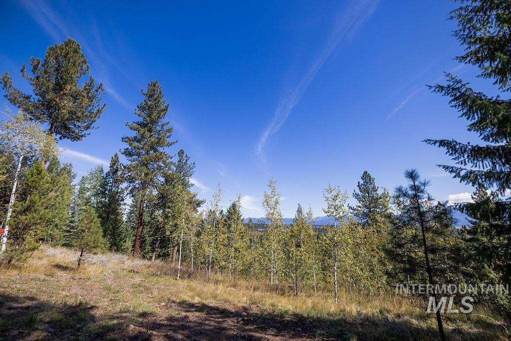 352 Blackhawk Lake Dr, McCall, Idaho 83638, Land For Sale, Price $450,000, 98979409