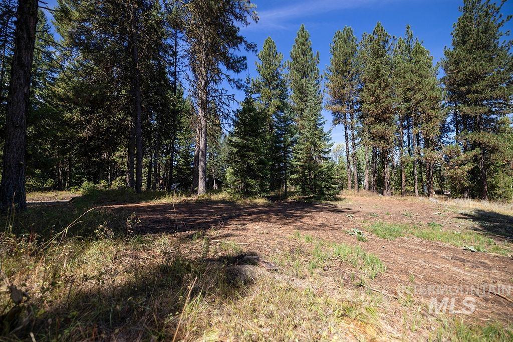 352 Blackhawk Lake Dr, McCall, Idaho 83638, Land For Sale, Price $450,000, 98979409