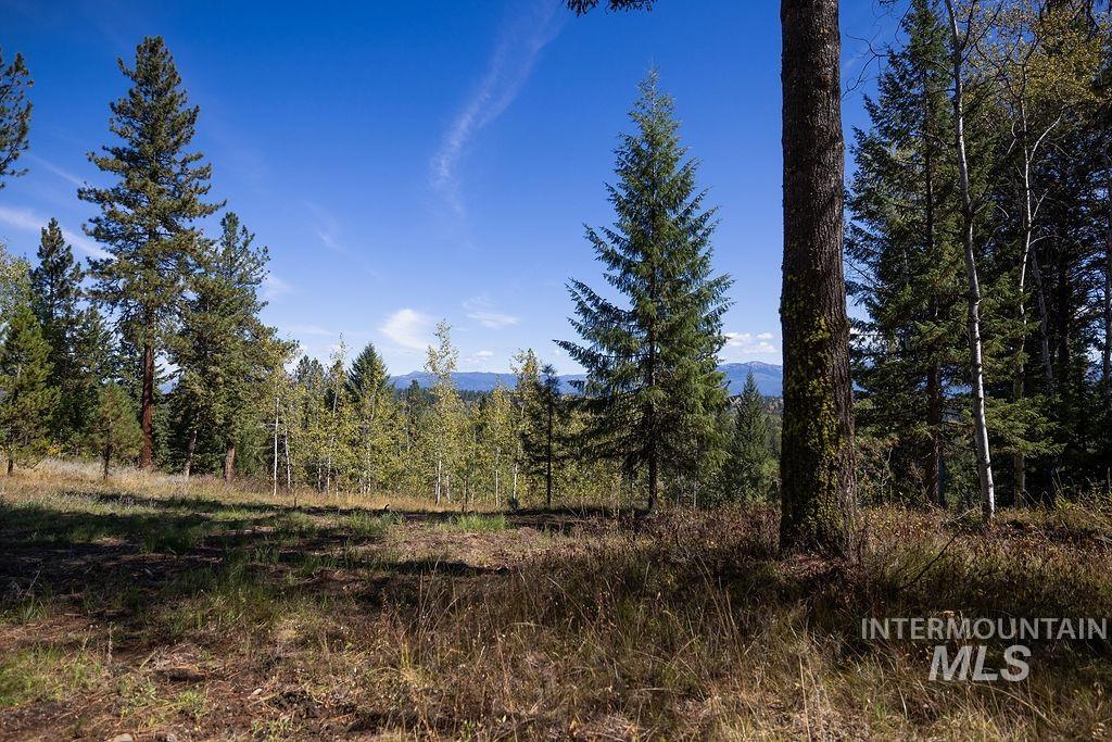 352 Blackhawk Lake Dr, McCall, Idaho 83638, Land For Sale, Price $450,000, 98979409