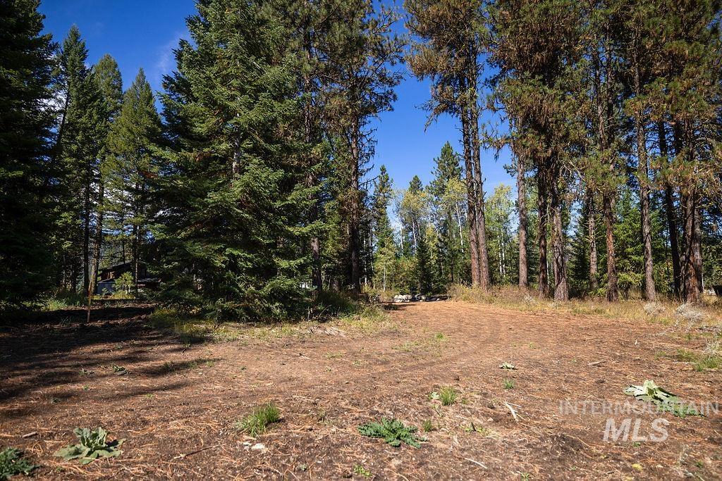352 Blackhawk Lake Dr, McCall, Idaho 83638, Land For Sale, Price $450,000, 98979409