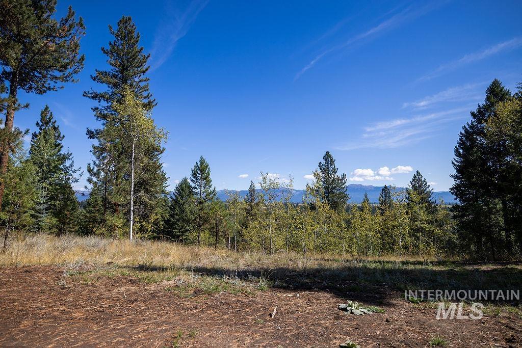 352 Blackhawk Lake Dr, McCall, Idaho 83638, Land For Sale, Price $450,000, 98979409