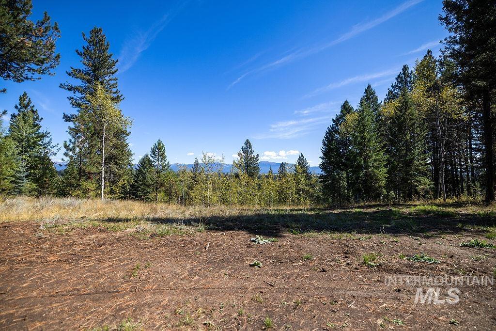 352 Blackhawk Lake Dr, McCall, Idaho 83638, Land For Sale, Price $450,000, 98979409