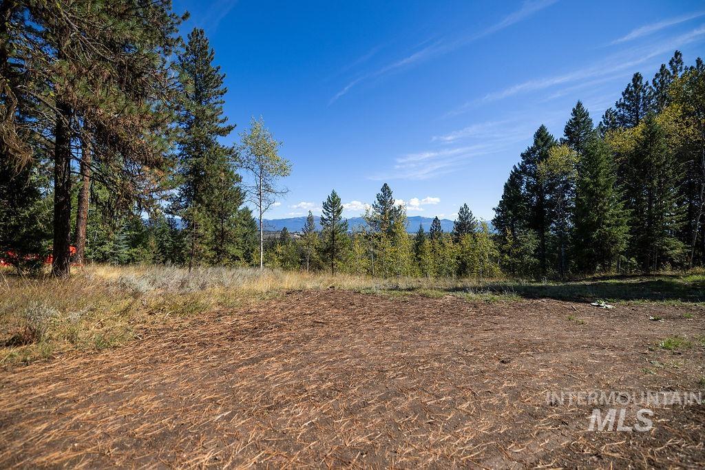352 Blackhawk Lake Dr, McCall, Idaho 83638, Land For Sale, Price $450,000, 98979409