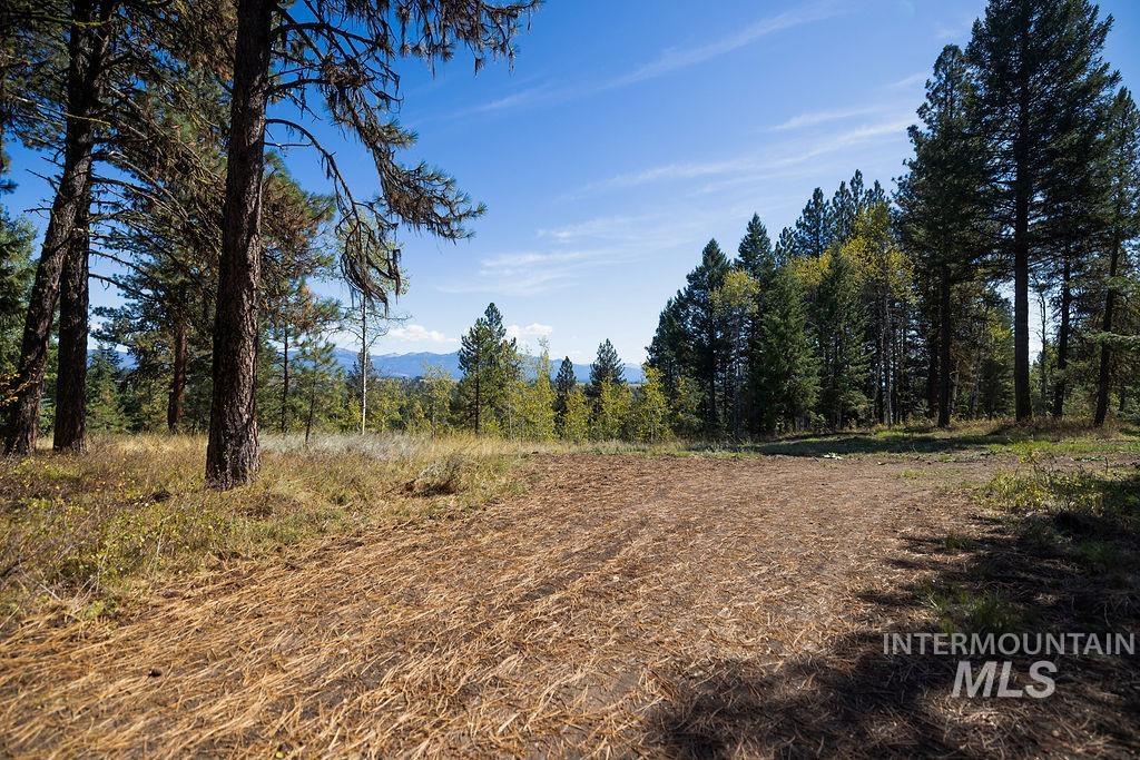 352 Blackhawk Lake Dr, McCall, Idaho 83638, Land For Sale, Price $450,000, 98979409