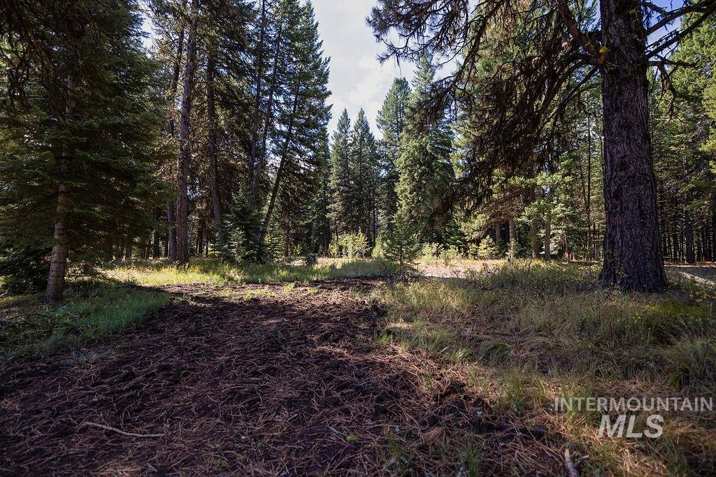 352 Blackhawk Lake Dr, McCall, Idaho 83638, Land For Sale, Price $450,000, 98979409