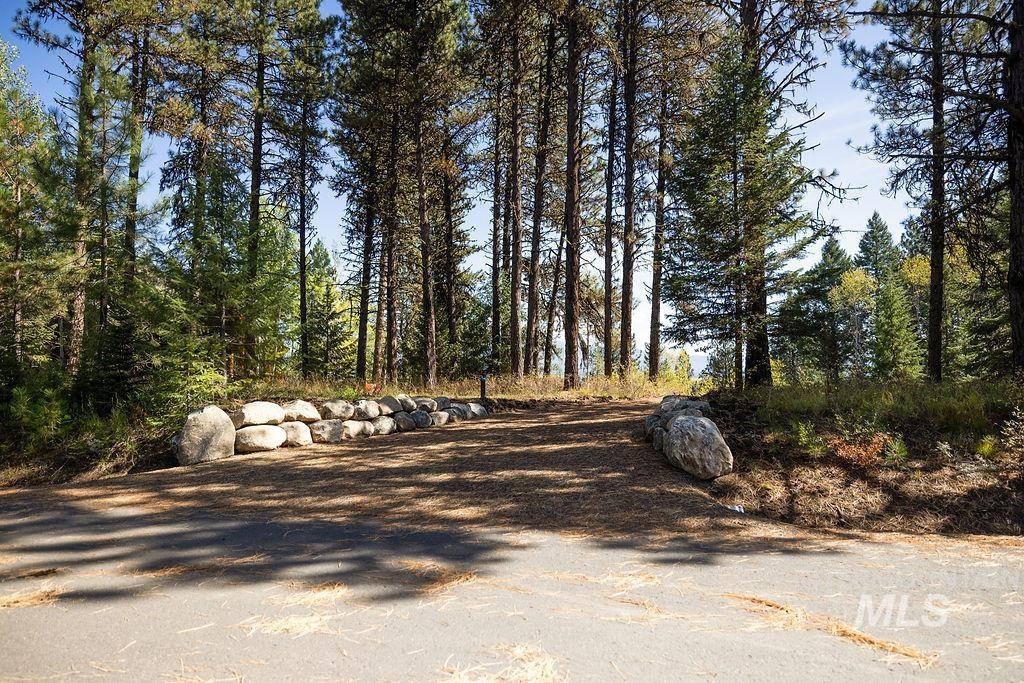 352 Blackhawk Lake Dr, McCall, Idaho 83638, Land For Sale, Price $450,000, 98979409