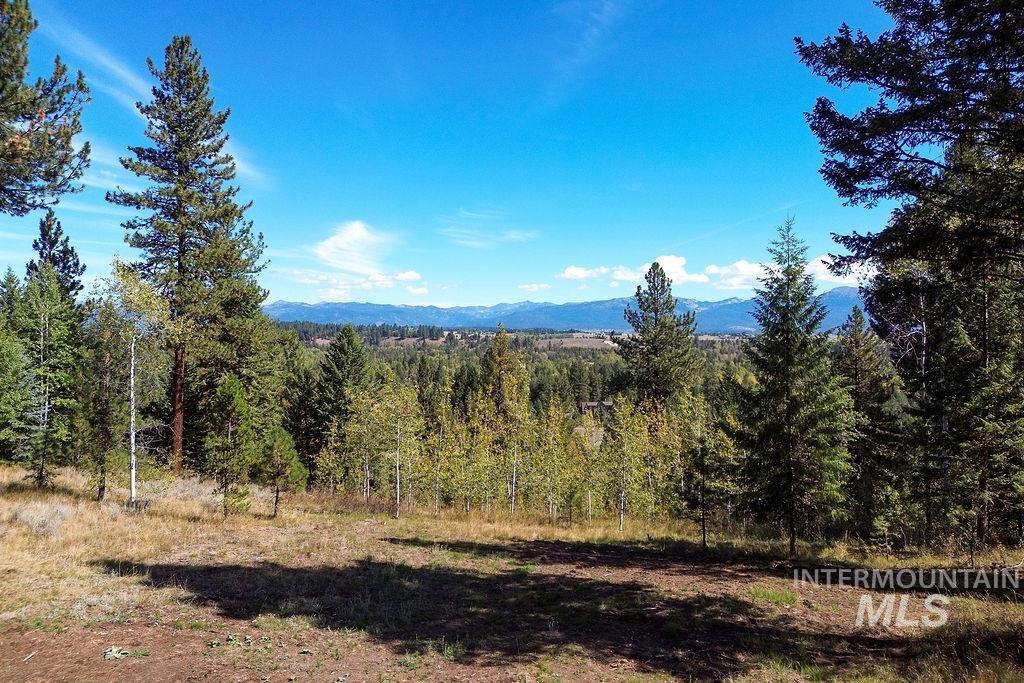 352 Blackhawk Lake Dr, McCall, Idaho 83638, Land For Sale, Price $450,000, 98979409