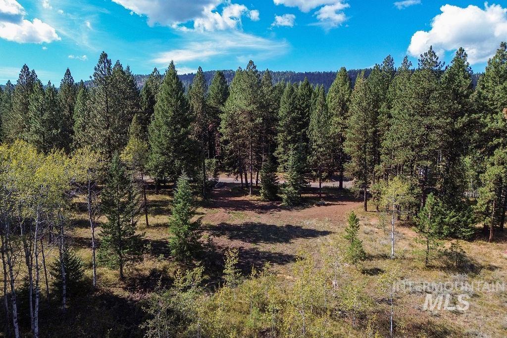 352 Blackhawk Lake Dr, McCall, Idaho 83638, Land For Sale, Price $450,000, 98979409