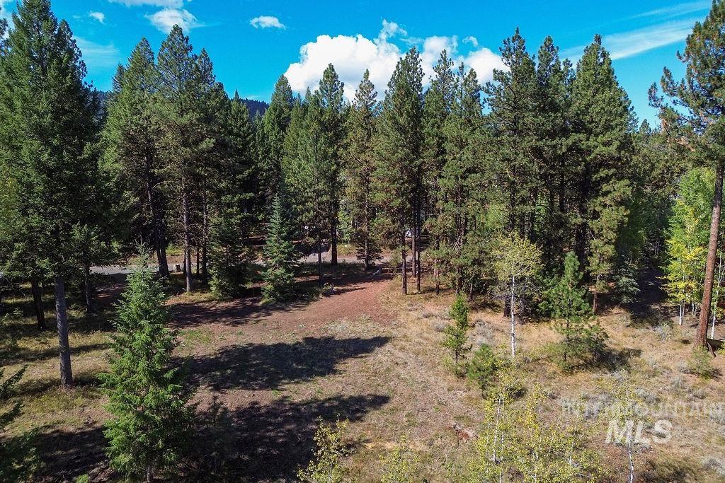352 Blackhawk Lake Dr, McCall, Idaho 83638, Land For Sale, Price $450,000, 98979409