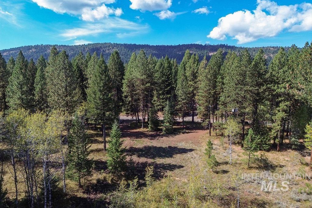 352 Blackhawk Lake Dr, McCall, Idaho 83638, Land For Sale, Price $450,000, 98979409