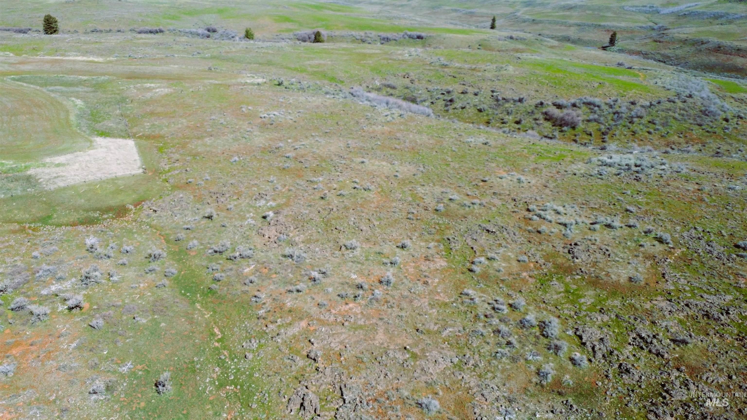 TBD N. Fork Ridge Rd., Council, Idaho 83612, Land For Sale, Price $315,000, 98979446