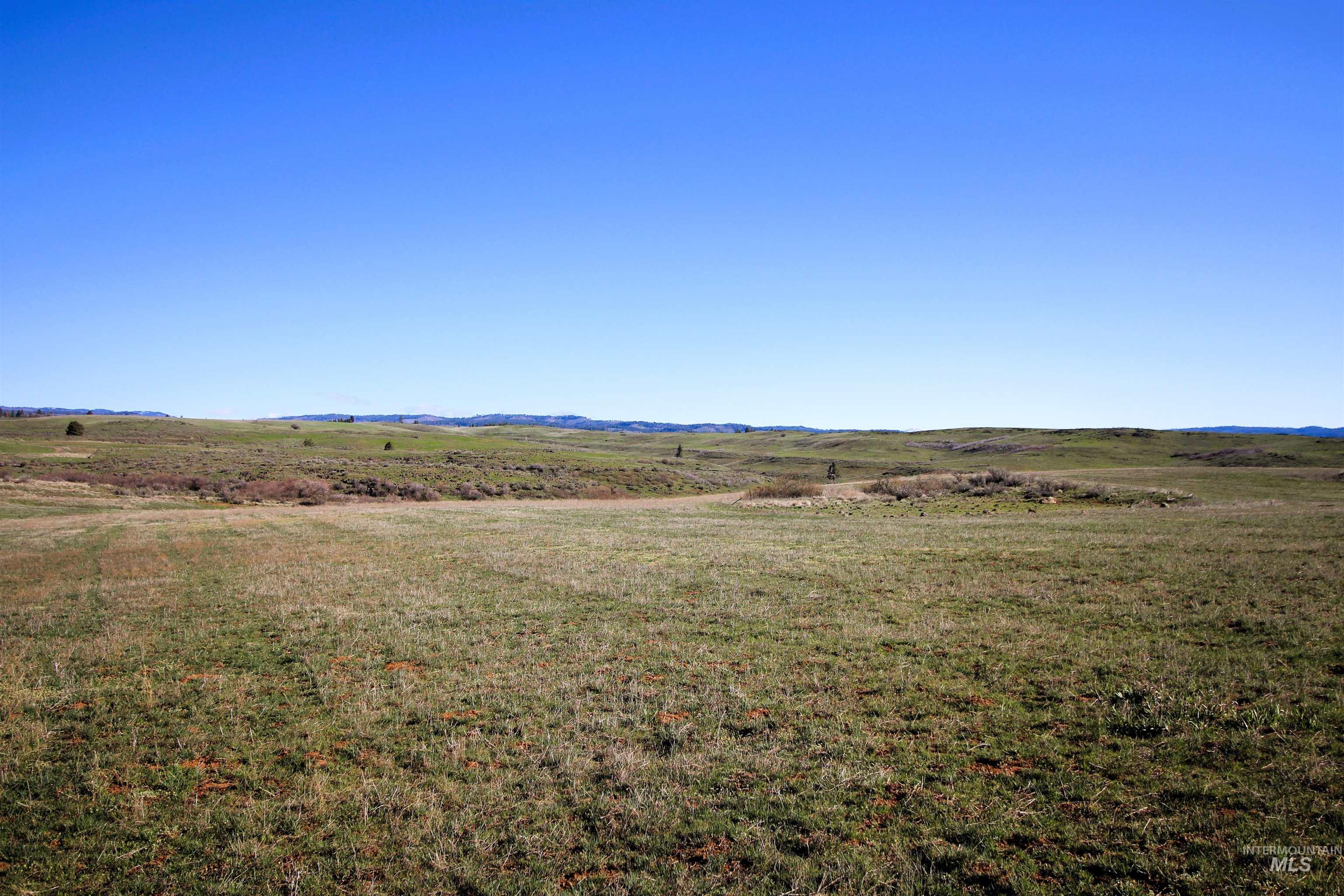 TBD N. Fork Ridge Rd., Council, Idaho 83612, Land For Sale, Price $315,000,MLS 98979446
