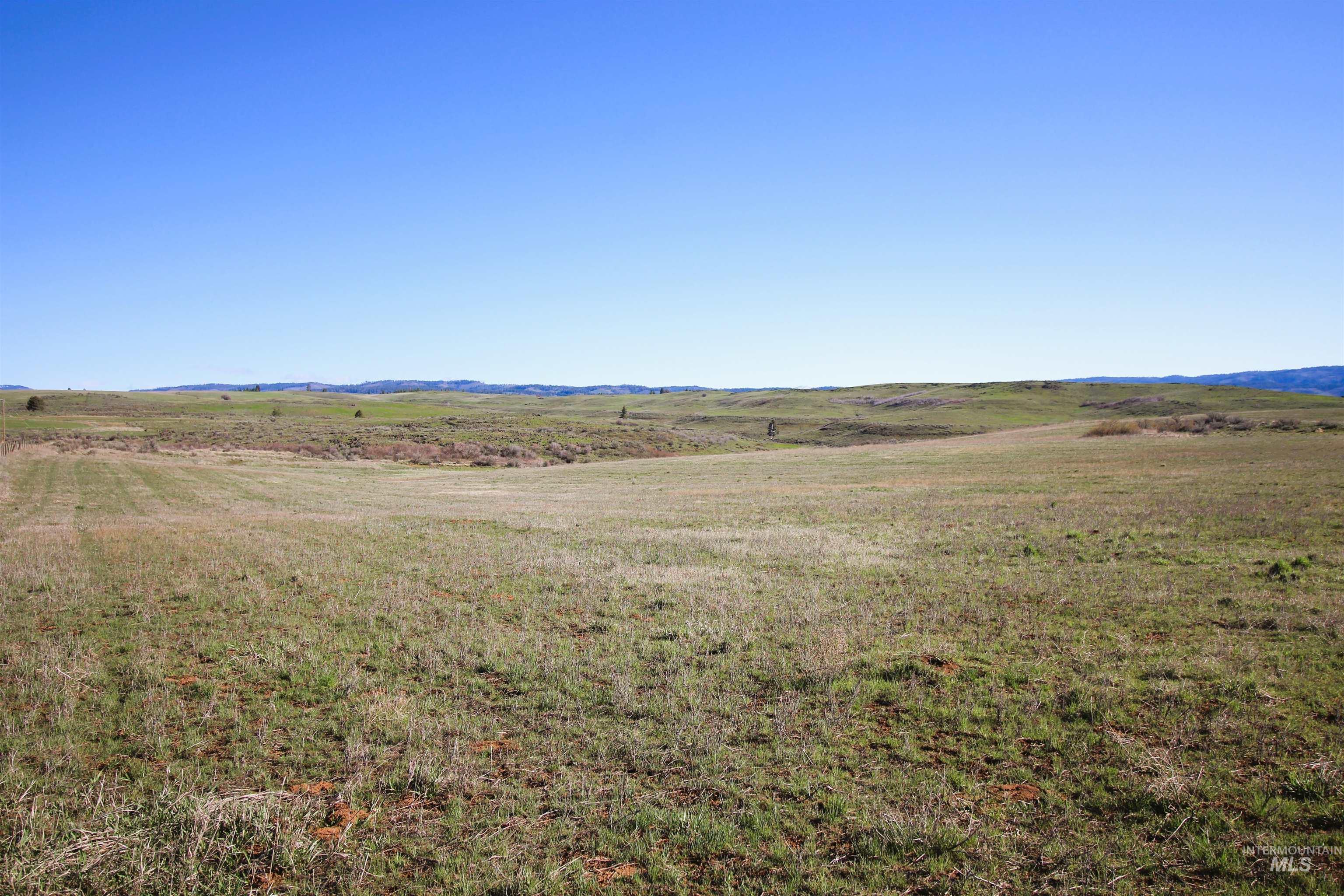 TBD N. Fork Ridge Rd., Council, Idaho 83612, Land For Sale, Price $315,000,MLS 98979446