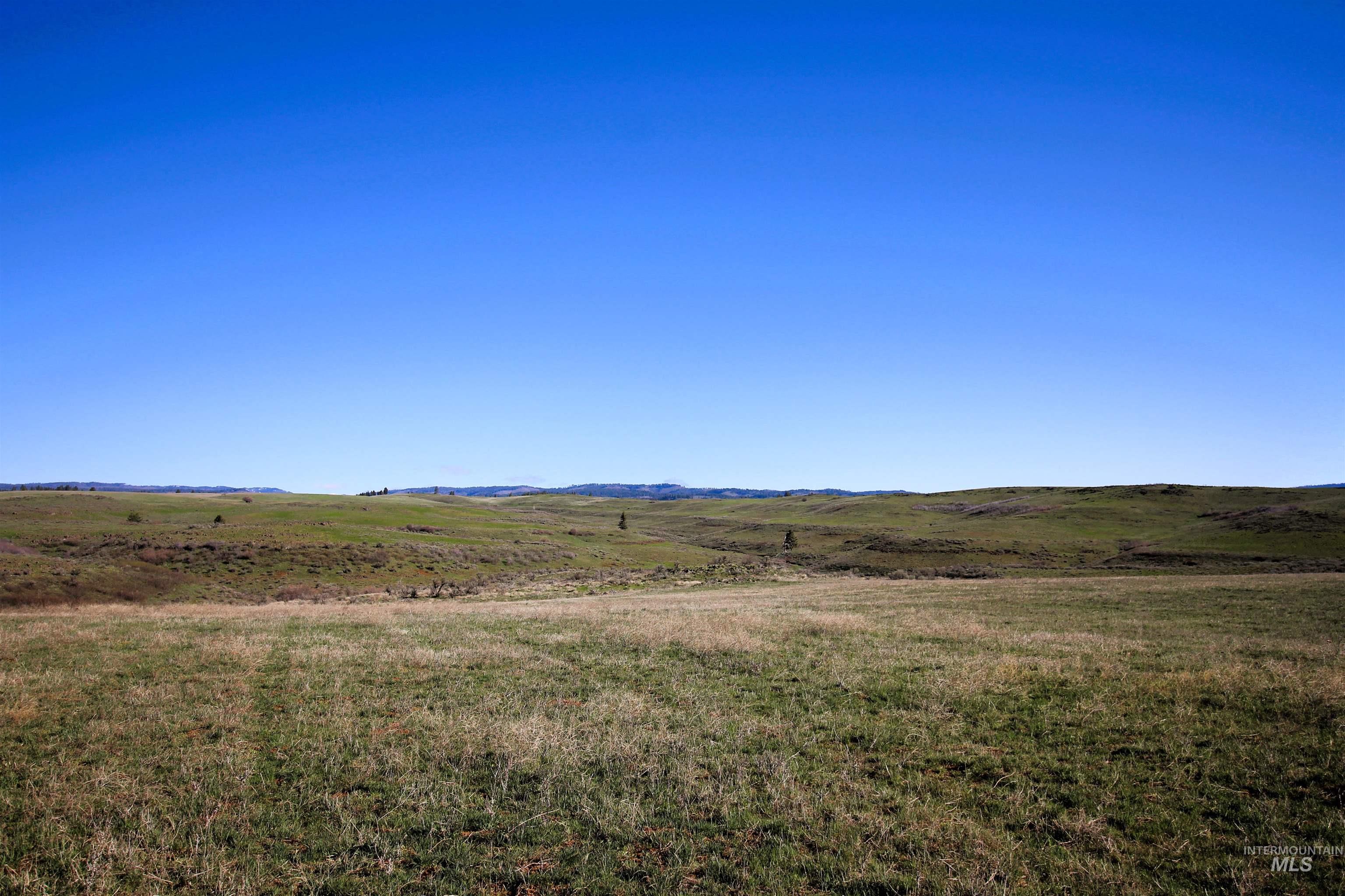 TBD N. Fork Ridge Rd., Council, Idaho 83612, Land For Sale, Price $315,000,MLS 98979446